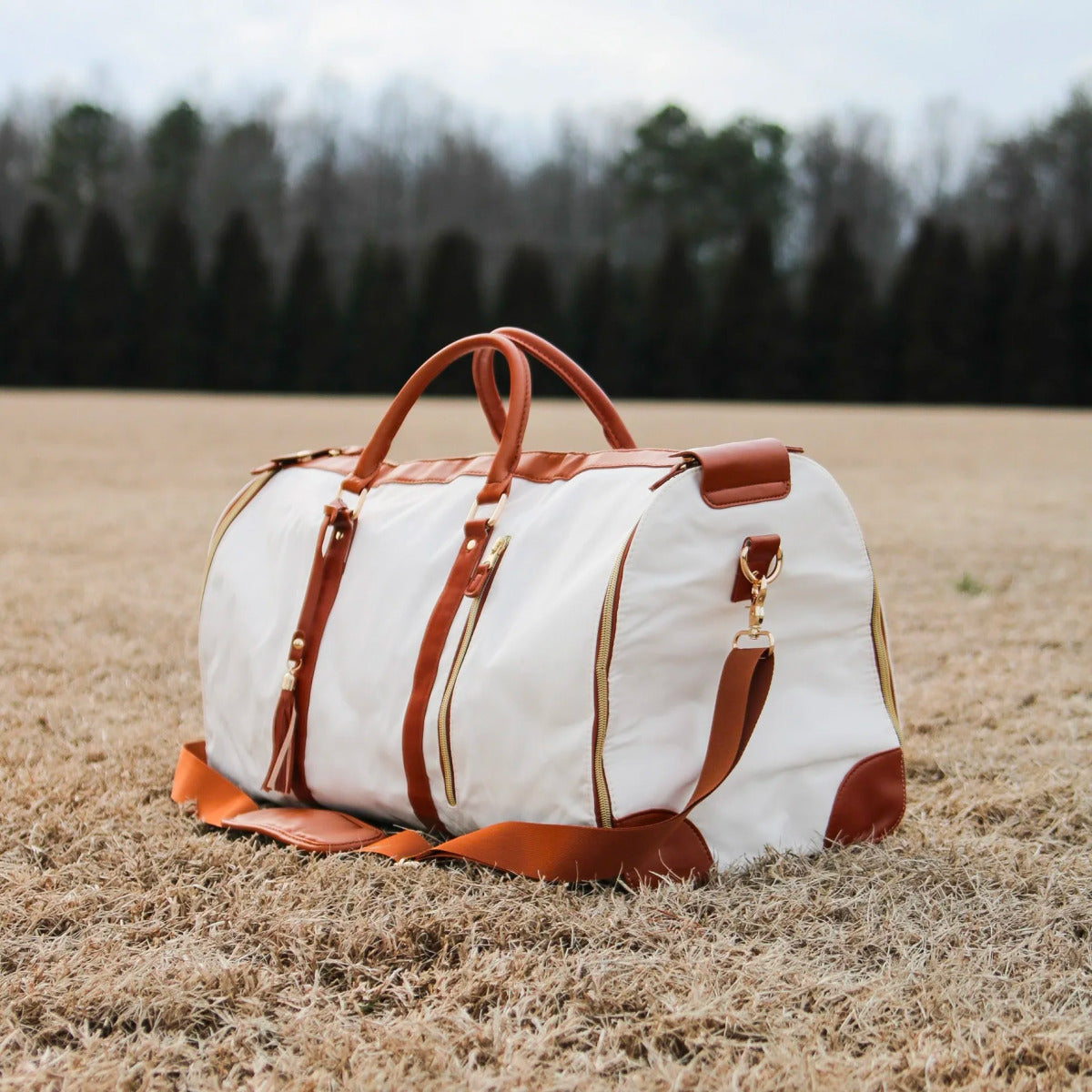 Luhxe Travel Bag 2.0 (Newsletter Special)